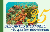 Descartes & Damaci  สู่อีกโลก ที่มีน้ำล้อมรอบ