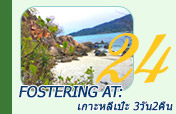 Fostering At: เกาะหลีเป๊ะ