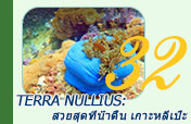 Terra Nullius: สวยสุดที่น้ำตื้น เกาะหลีเป๊ะ