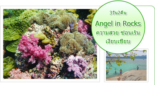 Angel in Rocks 3วัน2คืน