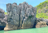 Sculpture: ปฏิมากรรมแห่งธรรมชาติ